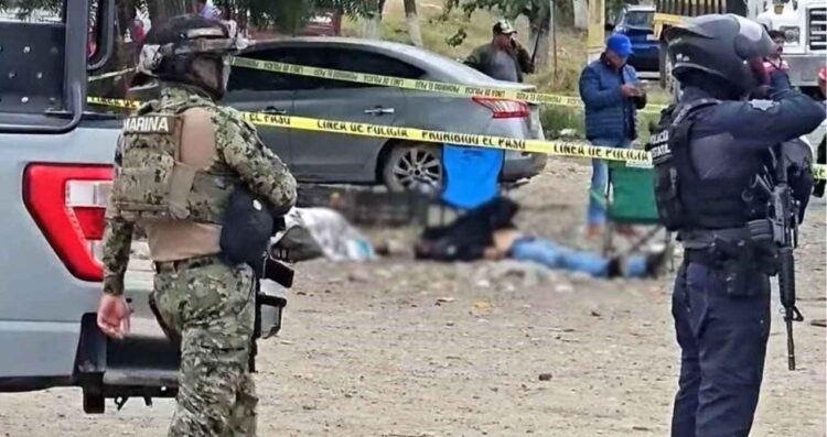 _homicidio centro de acopio en Veracruz
