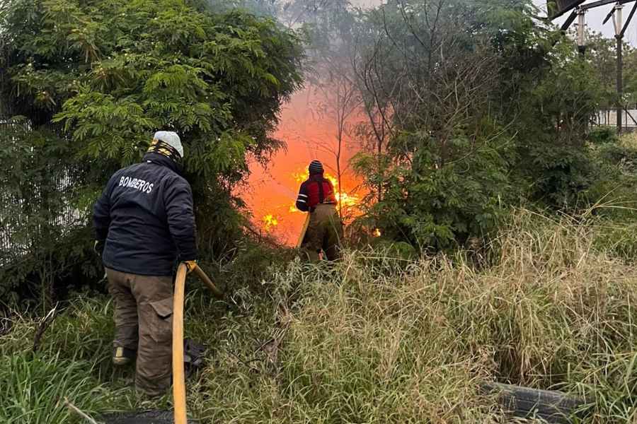 _incendio de pastizal en Victoria (1)