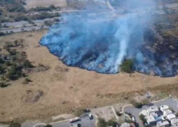 _incendio en terreno baldío en Monterrey