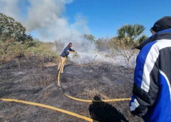 incendios de pastizal Victoria