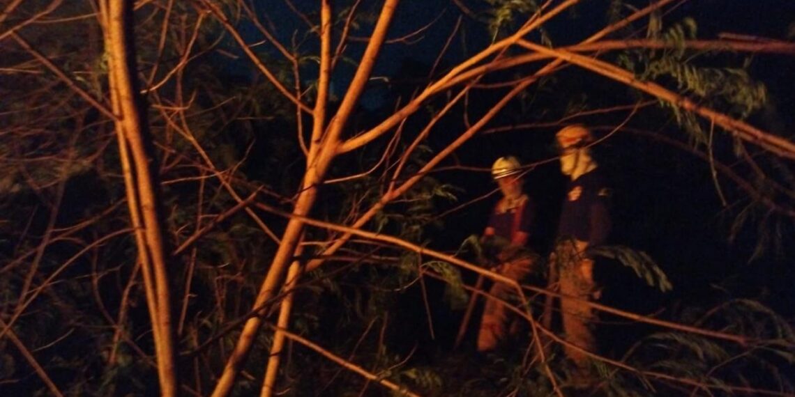 incendios por frente frío en Madero