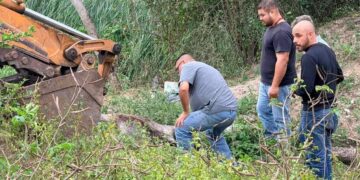 multa por maltrato animal madero