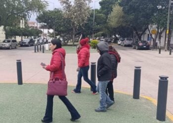 padecimientos respiratorios en Tamaulipas 2025