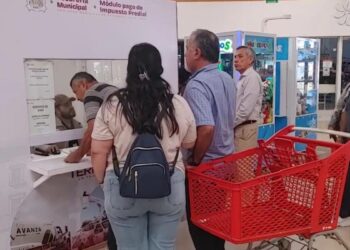 Pago de predial Matamoros