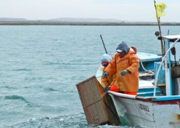 pesca Tamaulipas
