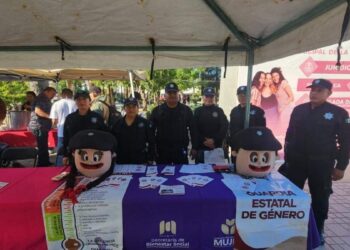 prevención de violencia familiar tamaulipas