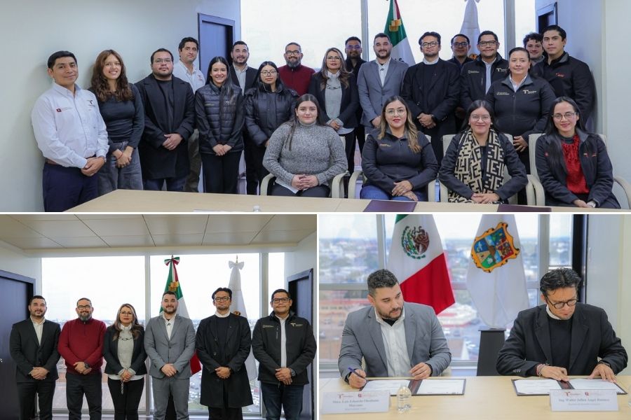 producción de etanol de sorgo Tamaulipas