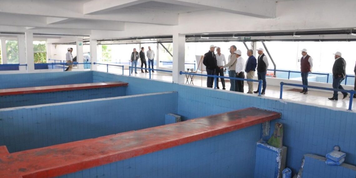 rehabilitación planta potabilizadora matamoros