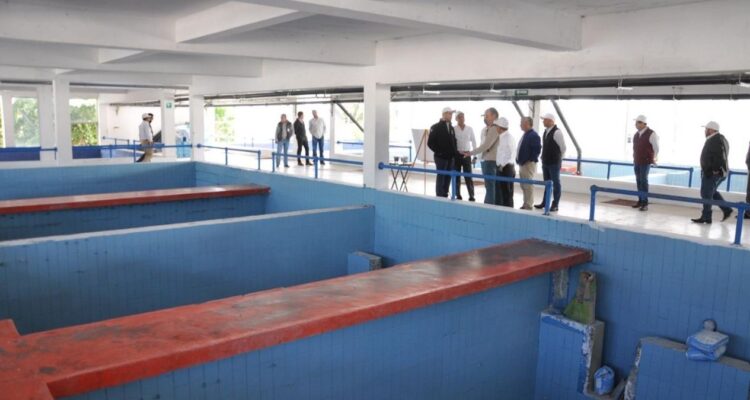rehabilitación planta potabilizadora matamoros