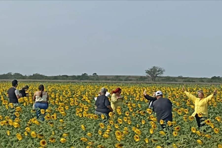 segunda etapa Rancho La Flor Aldama