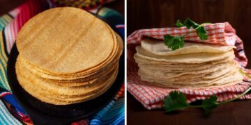 tortilla de maíz tortilla de harina