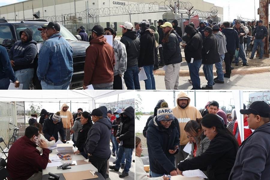 Tridonex y Trico Matamoros