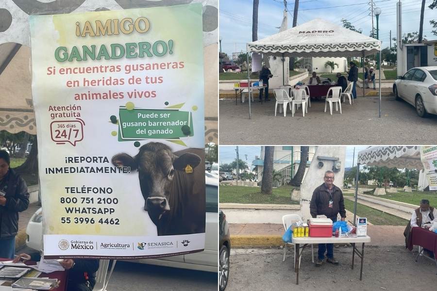 vacunación antirrábica ciudad madero