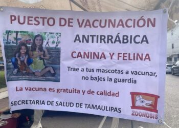 vacunación antirrábica ciudad madero
