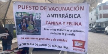 vacunación antirrábica ciudad madero