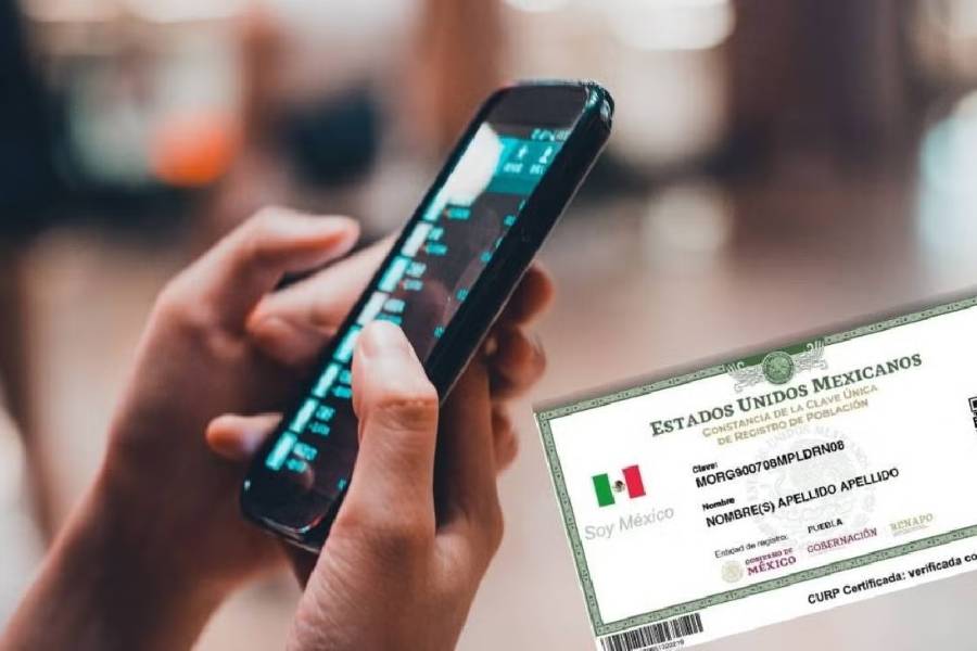 ¿Cómo saber si tu celular ya fue dado de alta en el nuevo padrón