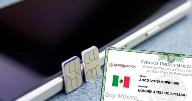 ¿Cómo saber si tu celular ya fue dado de alta en el nuevo padrón