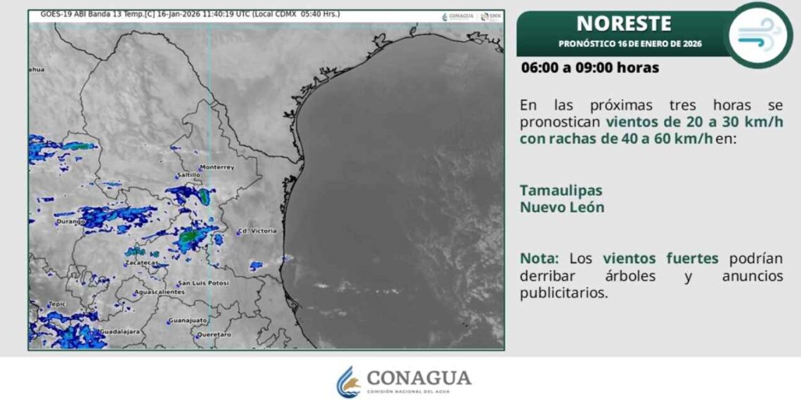 ¿Habrá clima variable con frío y viento en municipios de Tamaulipas?