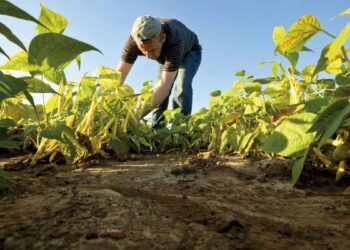 UNTA política agrícola en México