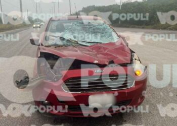 Automóvil atropella a un caballo en el Corredor Urbano "Luis Donaldo Colosio" en Altamira, Tamaulipas