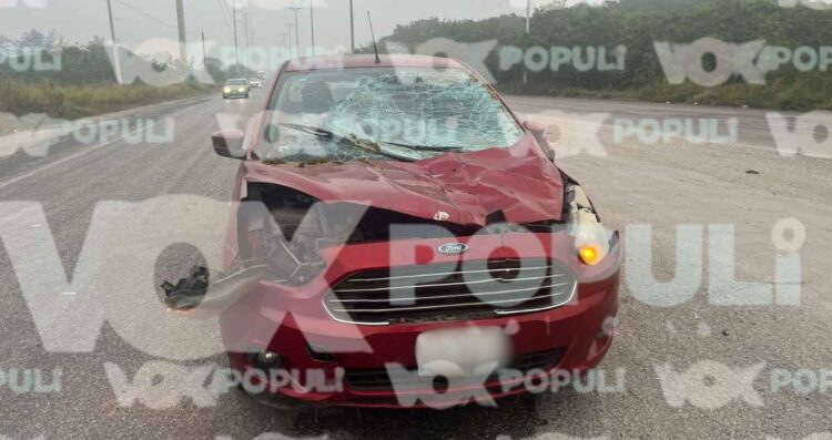 Automóvil atropella a un caballo en el Corredor Urbano "Luis Donaldo Colosio" en Altamira, Tamaulipas