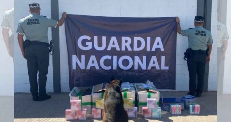 Autoridades aseguran 1,320 vapeadores en el aeropuerto de Hermosillo, Sonora