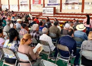 Avanza tercera etapa de Viviendas para el Bienestar en Matamoros, Tamaulipas