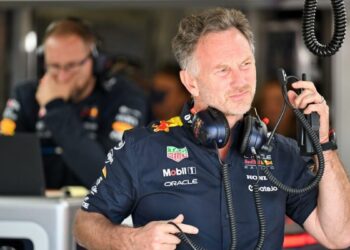 Christian Horner regresa a la F1