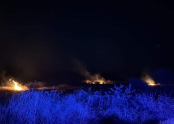 Controlan incendio de pastizal en Abasolo, Tamaulipas
