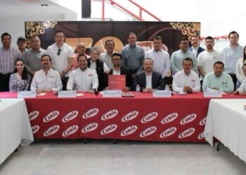 Desarrollo Energético CMIC Tamaulipas