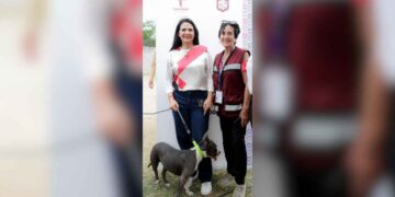 Tampico bienestar animal