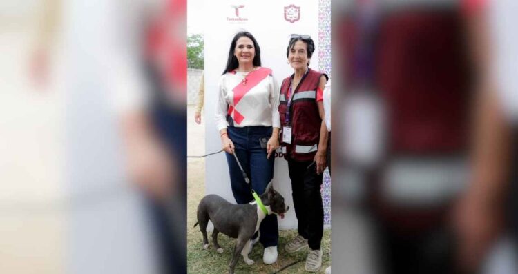 Tampico bienestar animal
