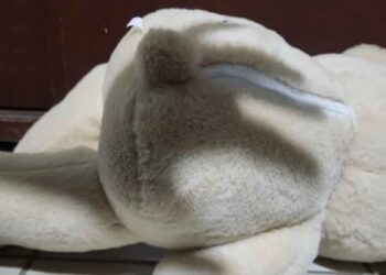 Hombre condena en Mulegé