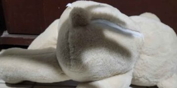 Hombre condena en Mulegé