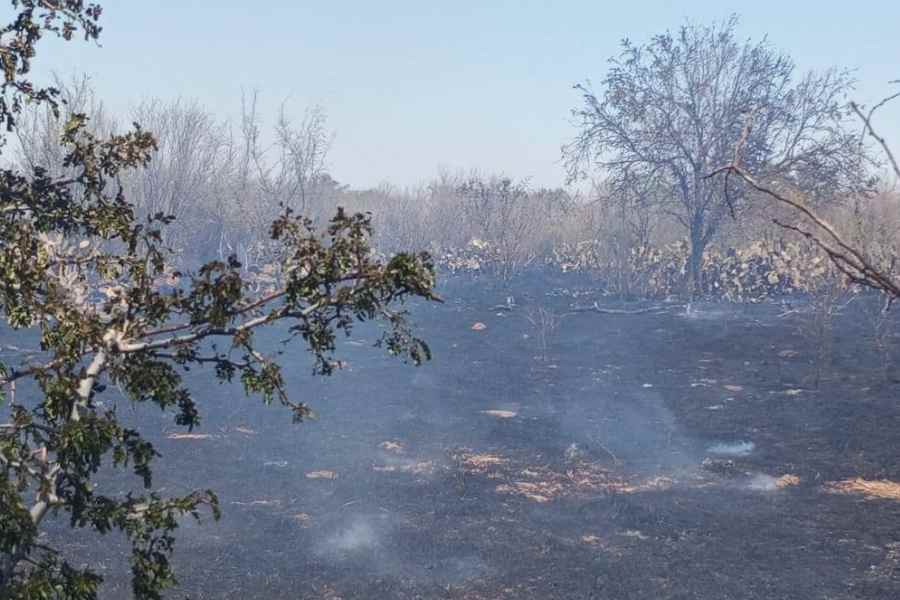 Incendio de pastizal en General Terán (1)