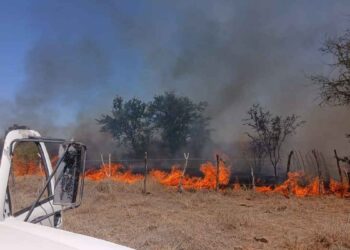 Incendio de pastizal en General Terán