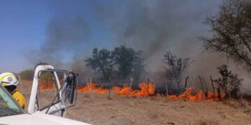 Incendio de pastizal en General Terán