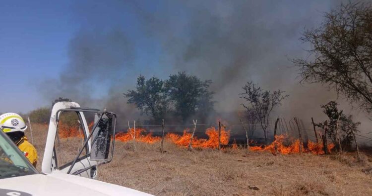 Incendio de pastizal en General Terán