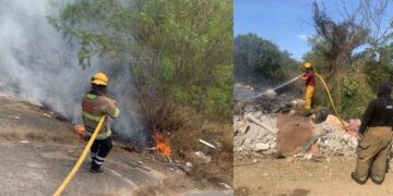Incendios pastizal Victoria