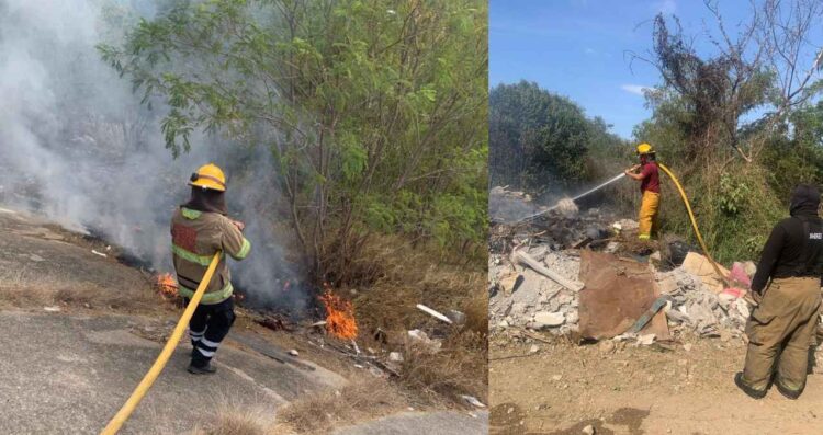 Incendios pastizal Victoria