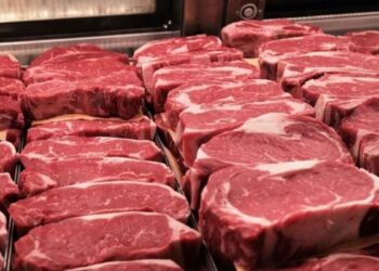costo carne de res y cerdo