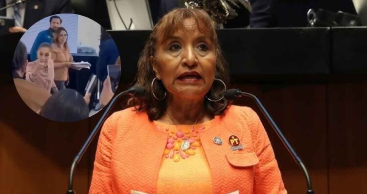 Legisladores deben supervisar hospitales y no dejarle todo el trabajo a Claudia Sheinbaum, advierte diputada del PT