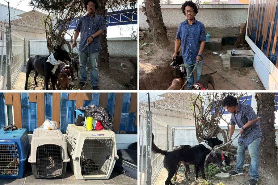 Migrante deportado queda varado con sus tres perros en Tampico, Tamaulipas