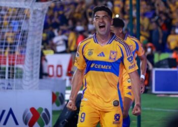 Nico Ibáñez Tigres