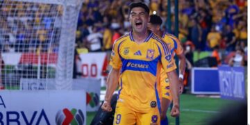 Nico Ibáñez Tigres