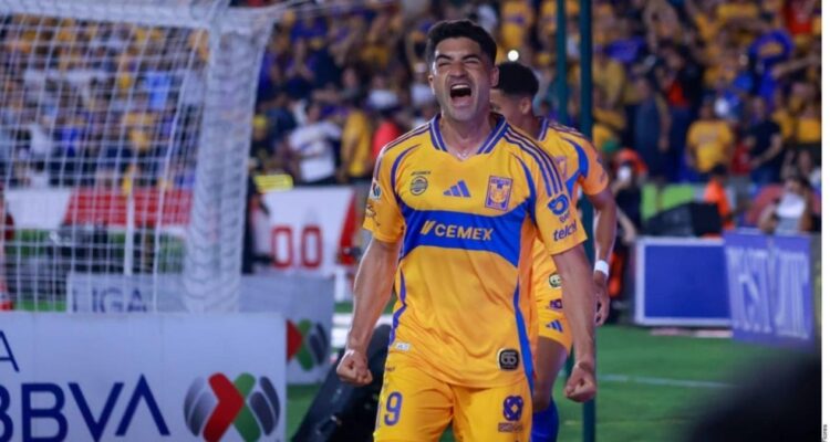 Nico Ibáñez Tigres