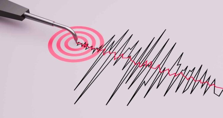 sismo Santa Catarina