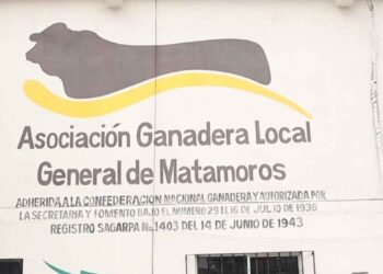 Sector pecuario pide reforzar cuidados del ganado en Matamoros, Tamaulipas