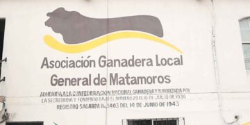 Sector pecuario pide reforzar cuidados del ganado en Matamoros, Tamaulipas