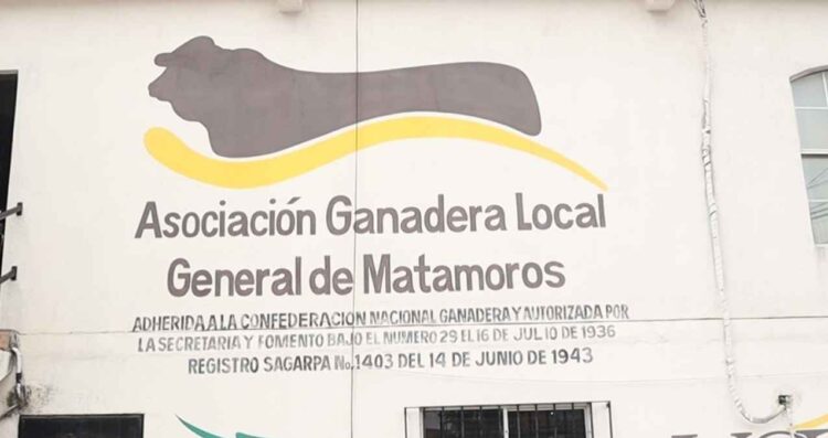 Sector pecuario pide reforzar cuidados del ganado en Matamoros, Tamaulipas